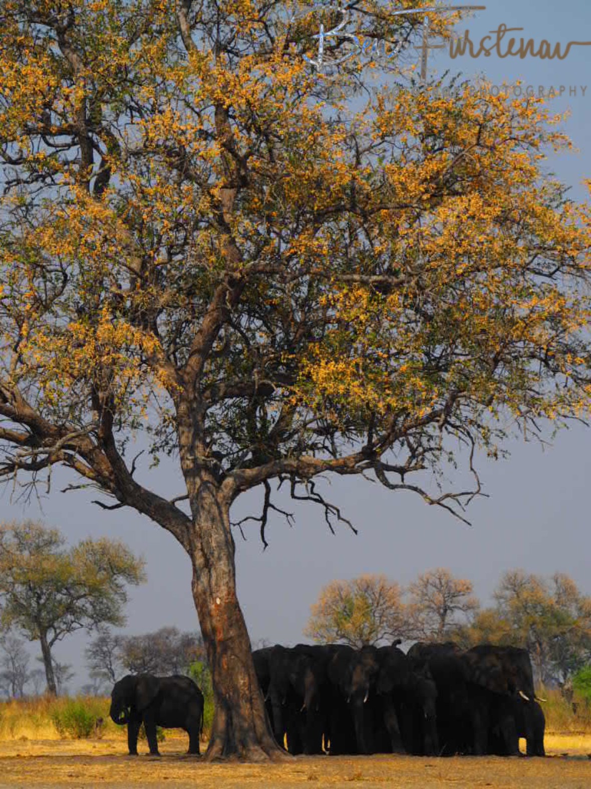 3E0CE884-0737-46AF-ACC4-5661F2D768DC