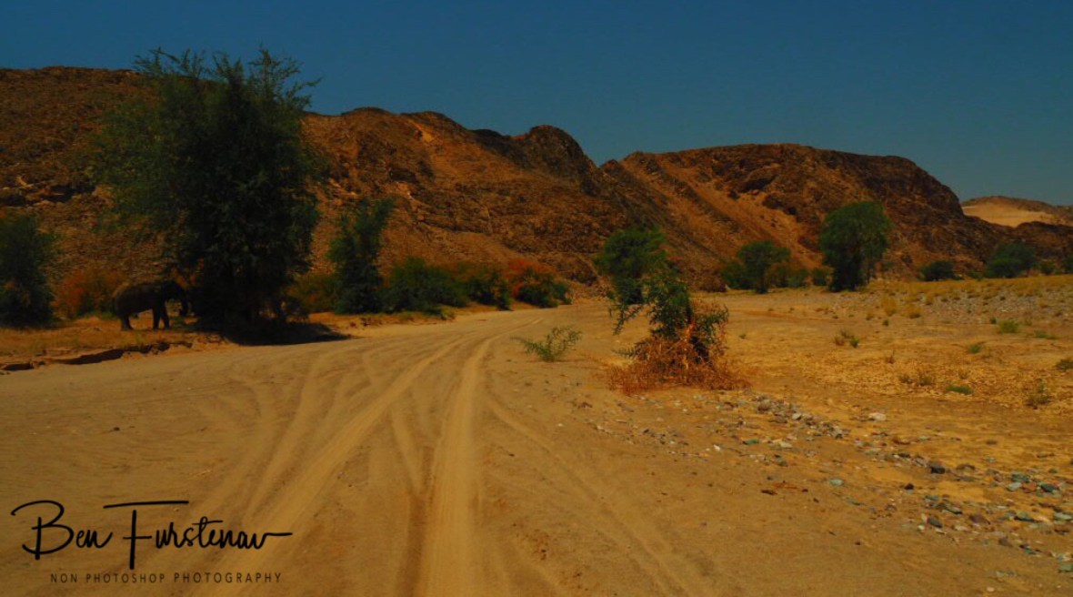 Ghostly appearance, Damaraland, Namibia