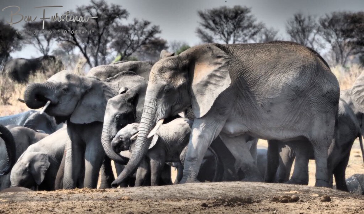 Safety? Khaudum National Park, Namibia