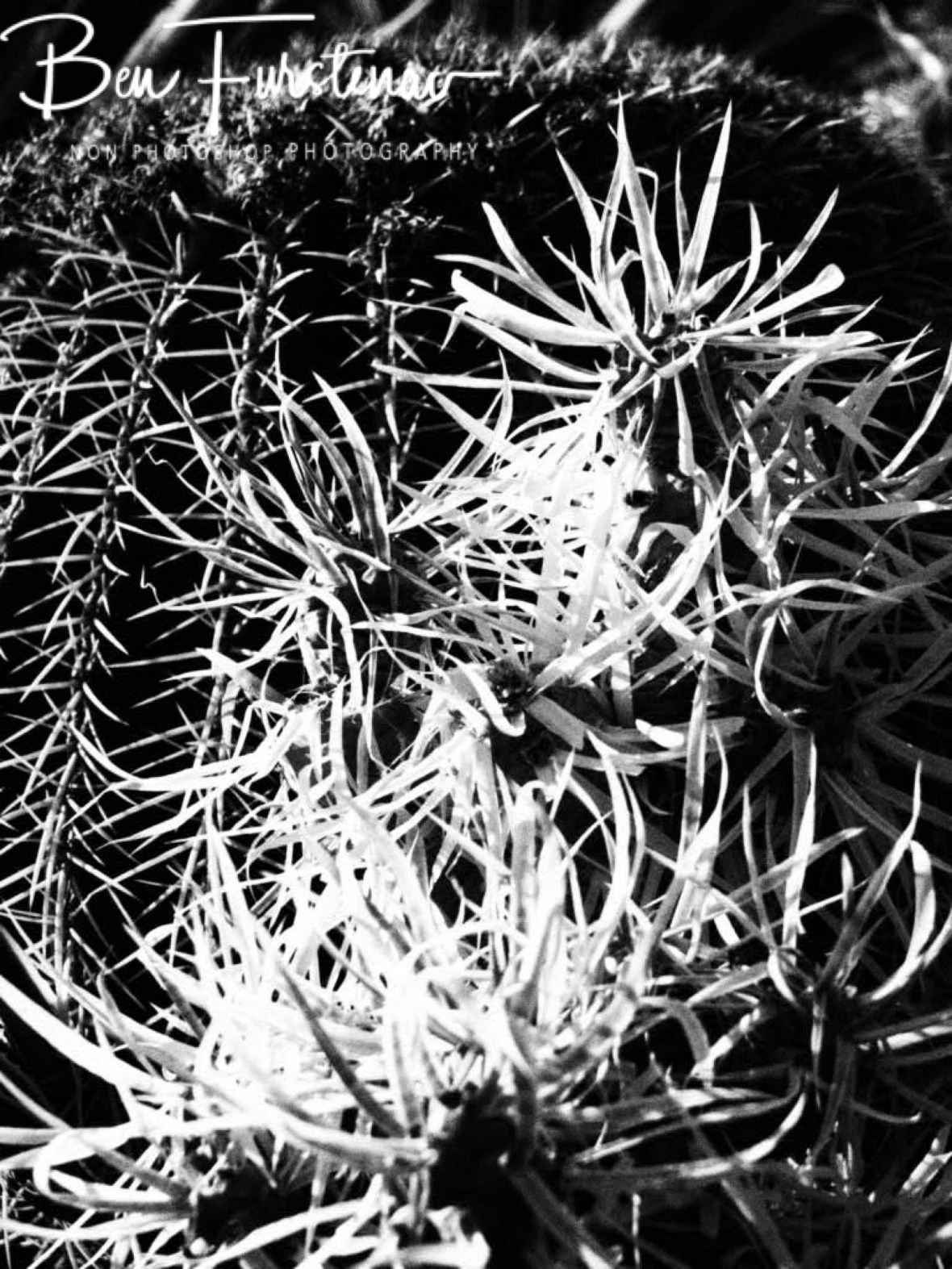 Different shapes in black and white, Brandberg Mountains, Namibia