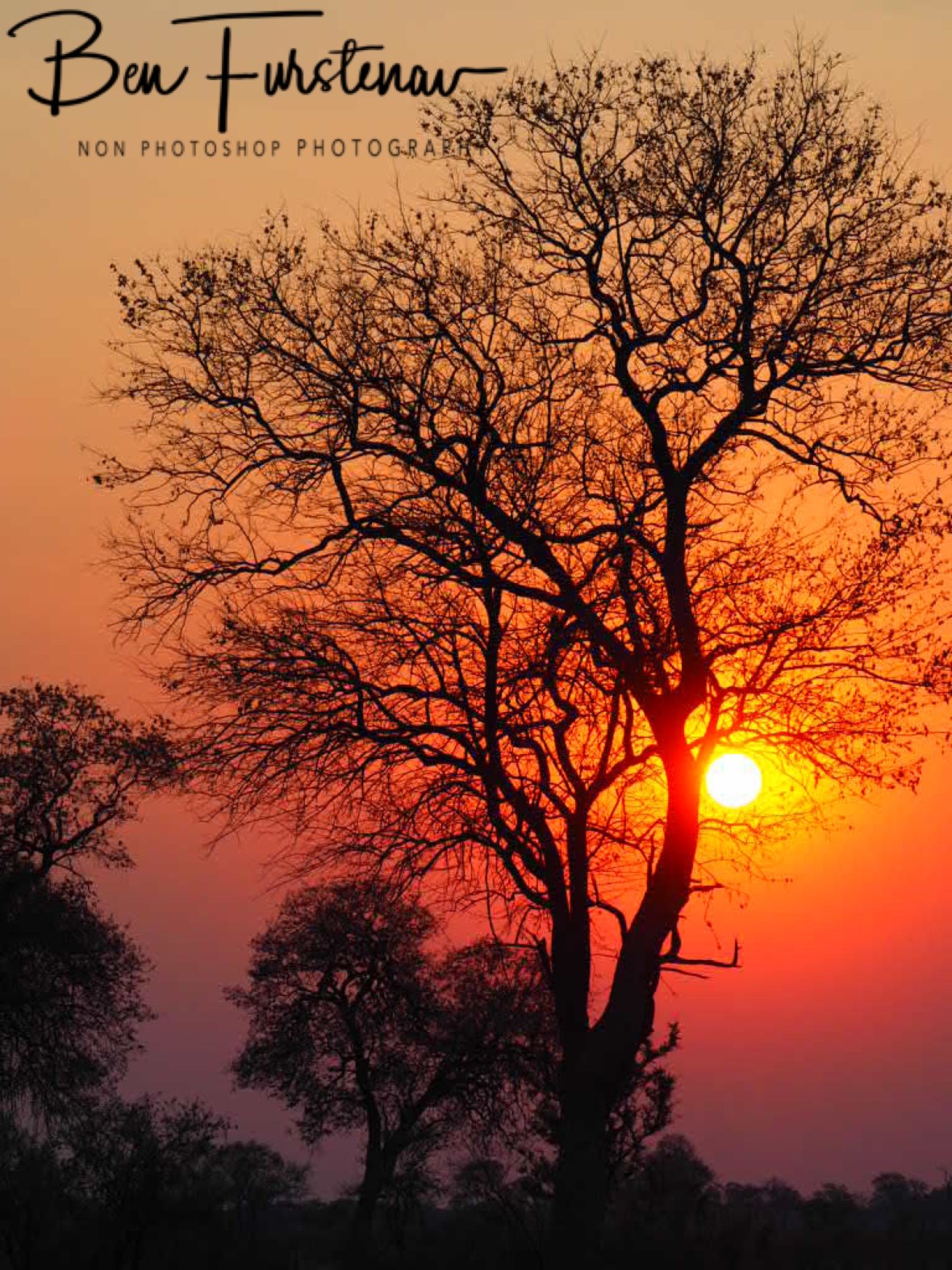 Orange glow over the Kalahari Desert, Khaudum National Park, Namibia