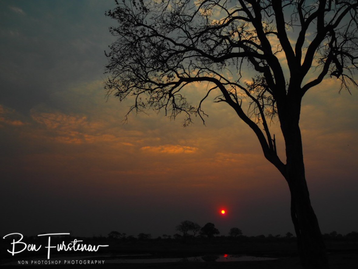 The sunrise over Doringstraat Waterhole, Khaudum National Park, Namibia
