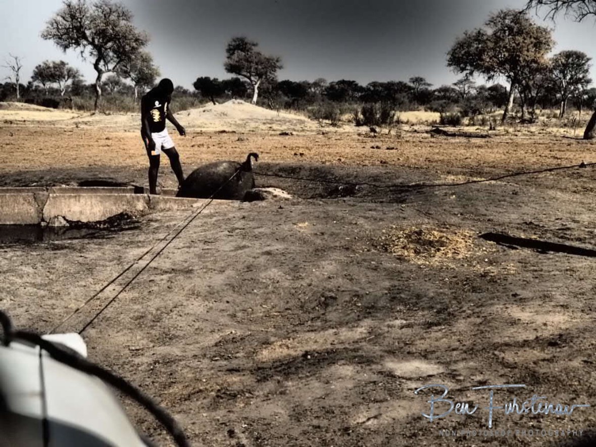 Servier secured the winch, Khaudum National Park, Namibia