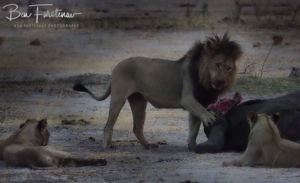 One last warning, Khaudum National Park, Namibia