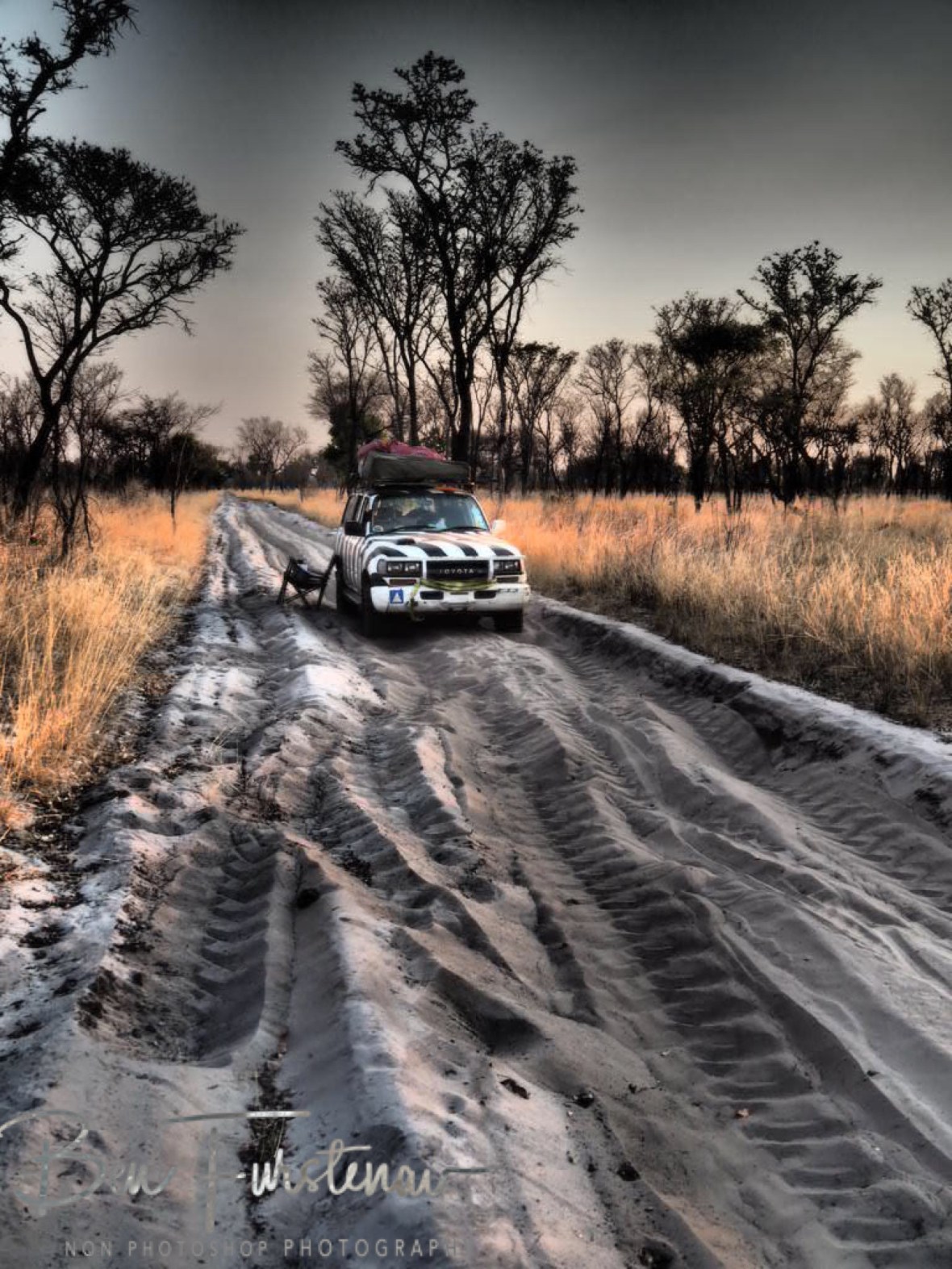 Stranded once more, tractor tracks clearly visible, Khaudum National Park, Namibia