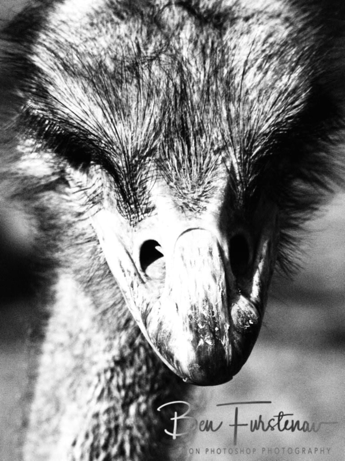 Mhhhh, Oppi Koppi, Kamanjab, Namibia