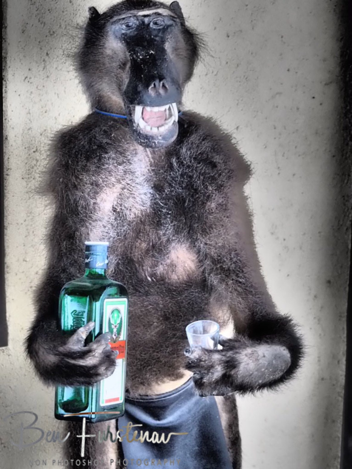 The real Jägermeister, Oppi Koppi, Kamanjab, Namibia