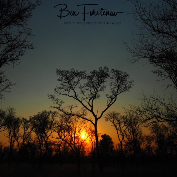 Kalahari sunset, Khaudum National Park, Namibia