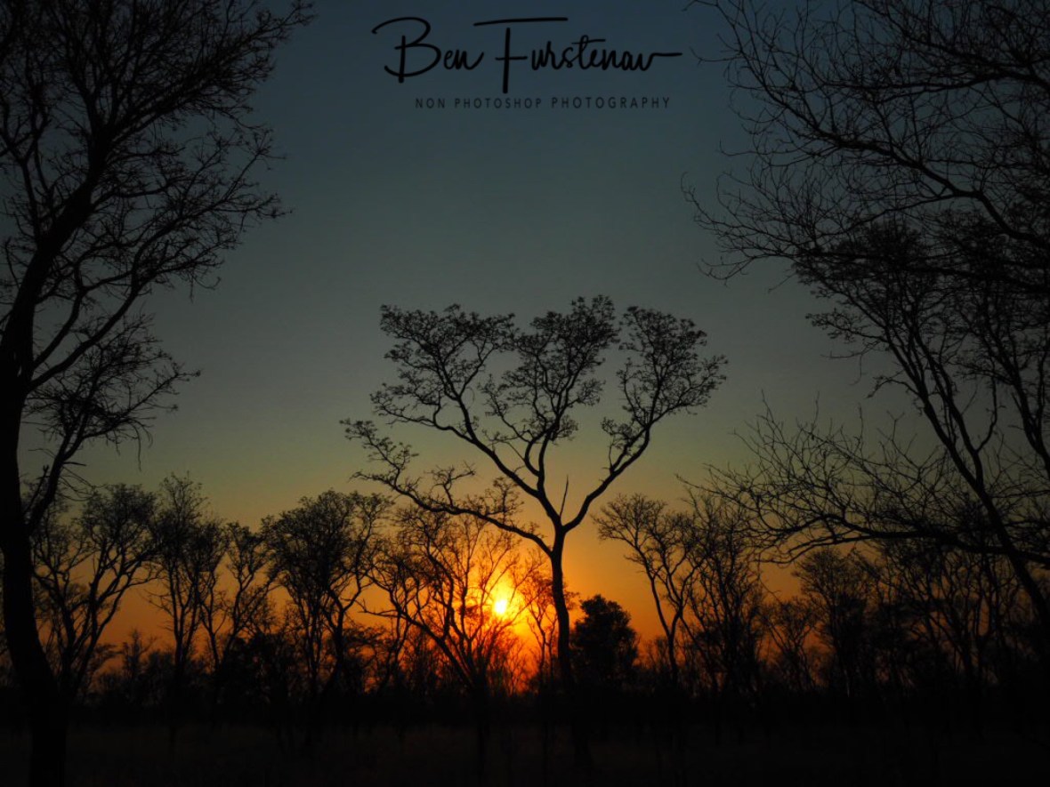 Kalahari sunset, Khaudum National Park, Namibia