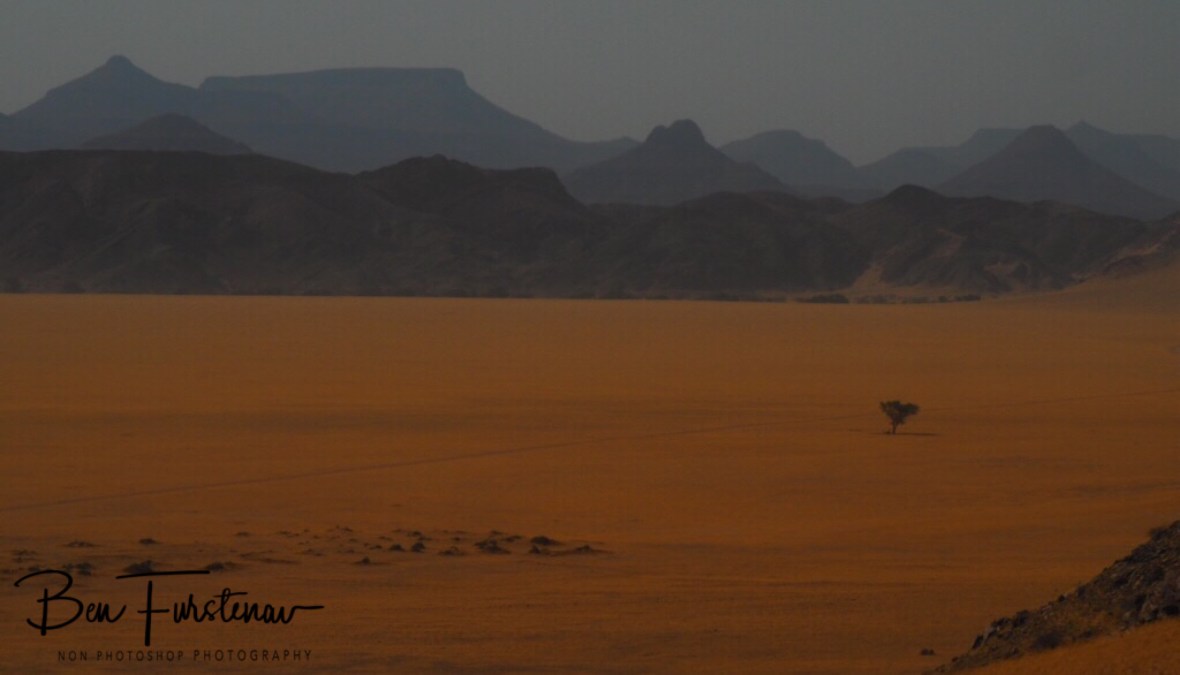 Surreal and arid, Damaraland, Namibia