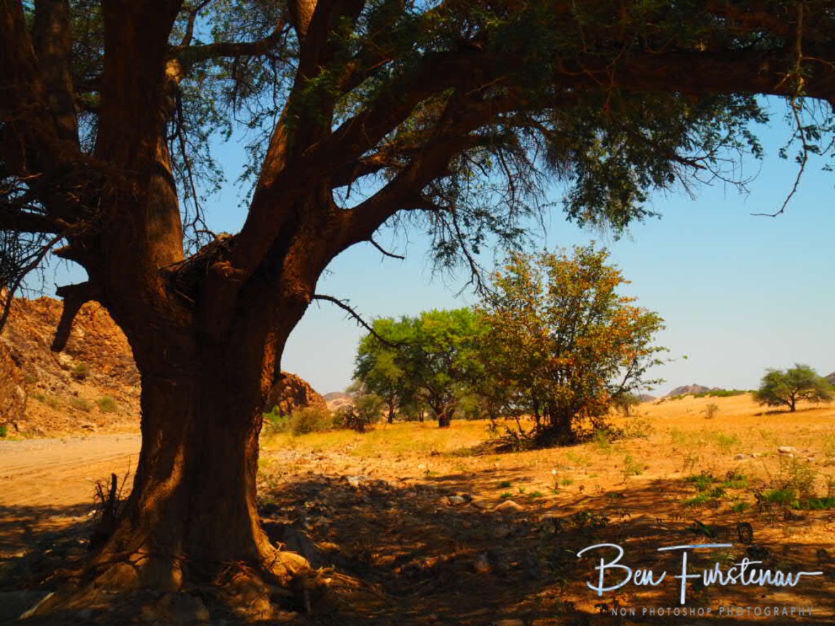 Sun sheltered view, Damaraland, Namibia