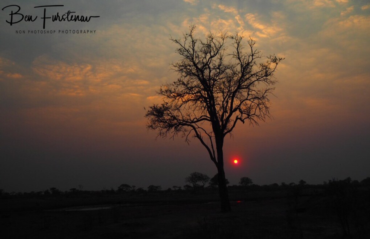 Early morning glory over the Kalahari Desert, Khaudum National Park, Namibia