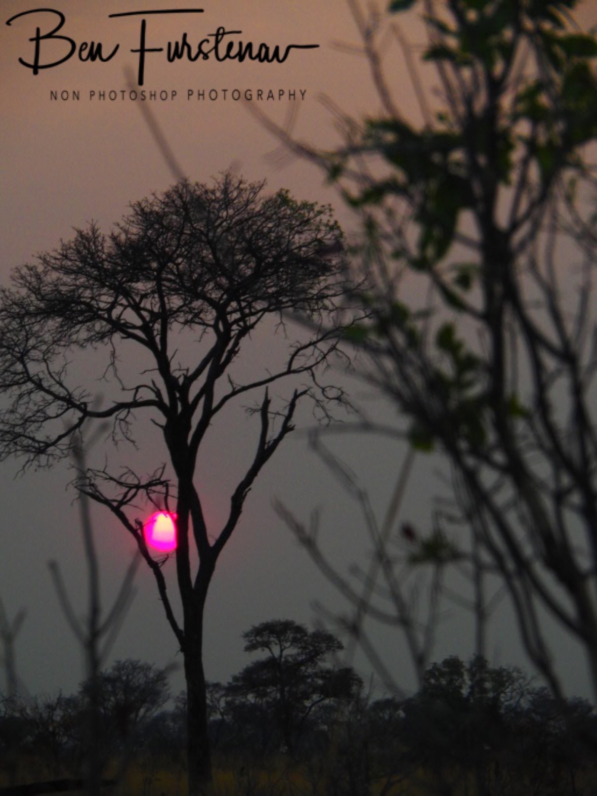 Another stunning sunrise in the Kalahari, Khaudum National Park, Namibia