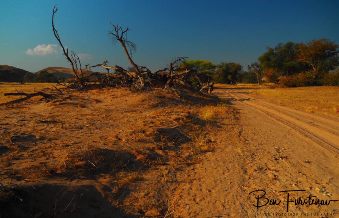 Camp next to riverbed express way, Damaraland, Namibia