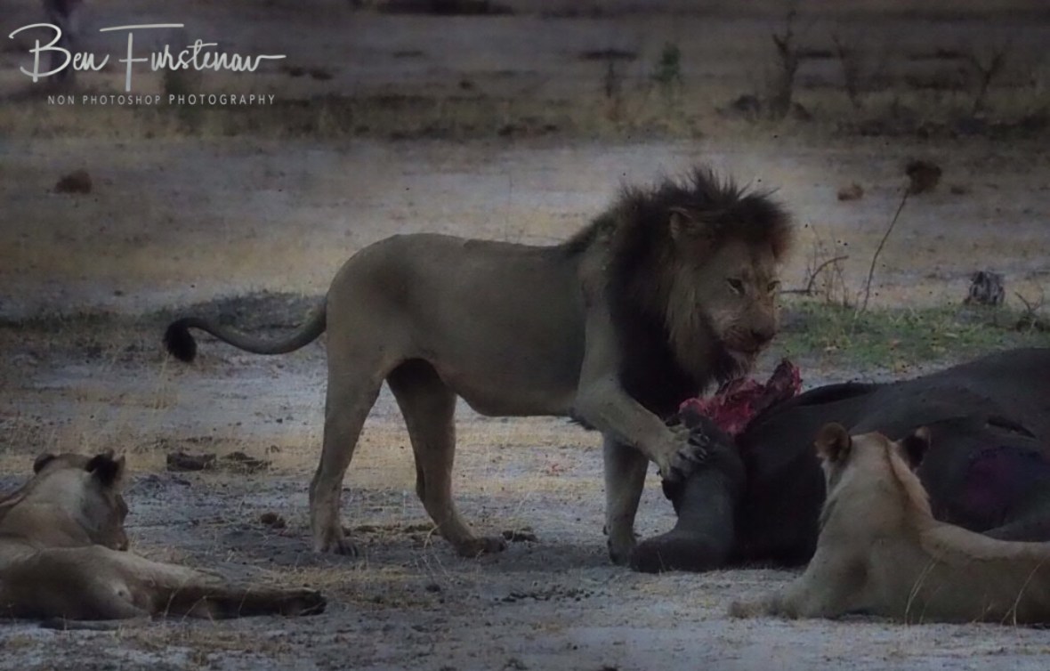 A warning for you too, Khaudum National Park, Namibia