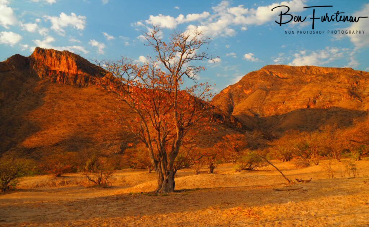 Dusty gorge, Groote Berge, Kaokoveld, Namibia
