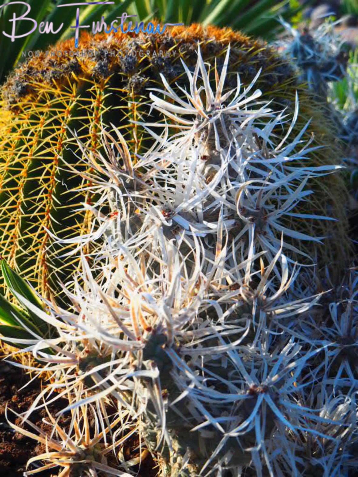 Surprisingly shaped, Brandberg Mountains, Namibia