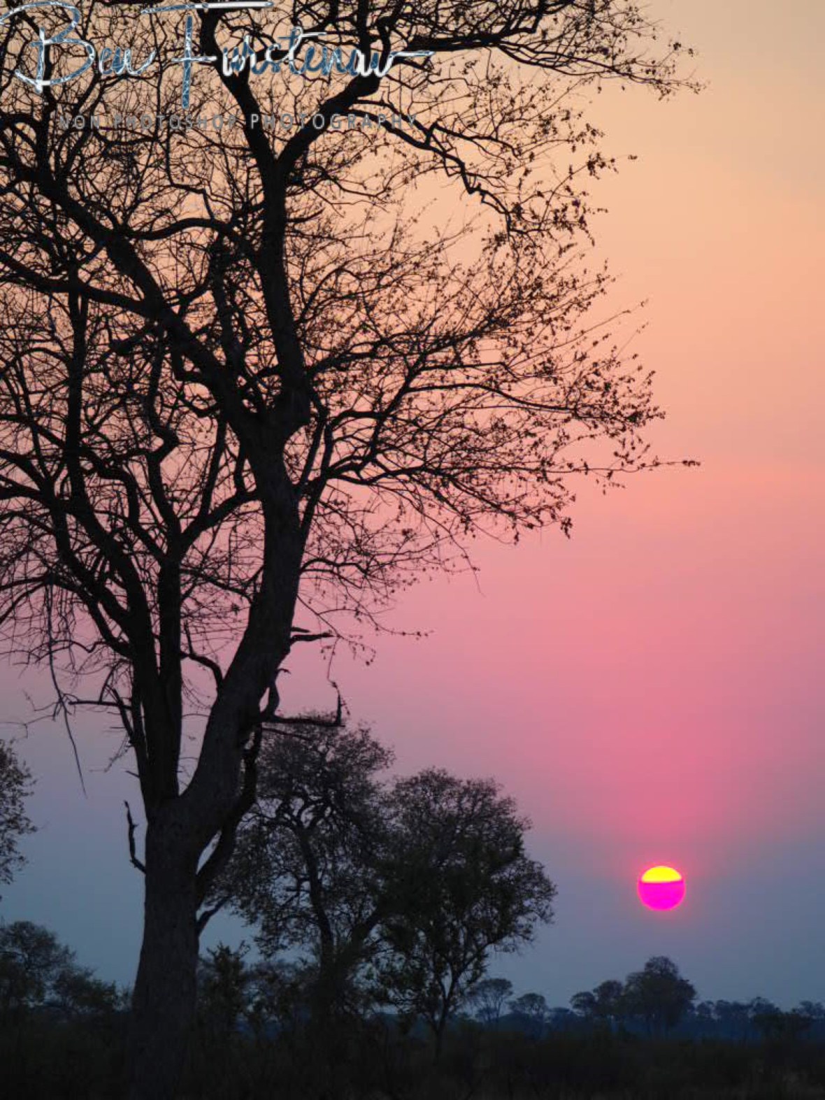 Yellow turns blue and purple, Khaudum National Park, Namibia