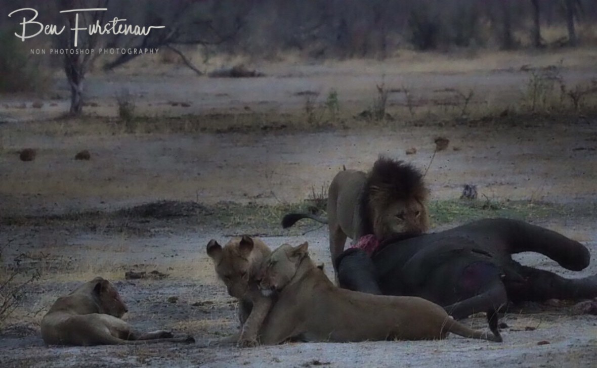 I wouldn’t! Mom’s warning, Khaudum National Park, Namibia