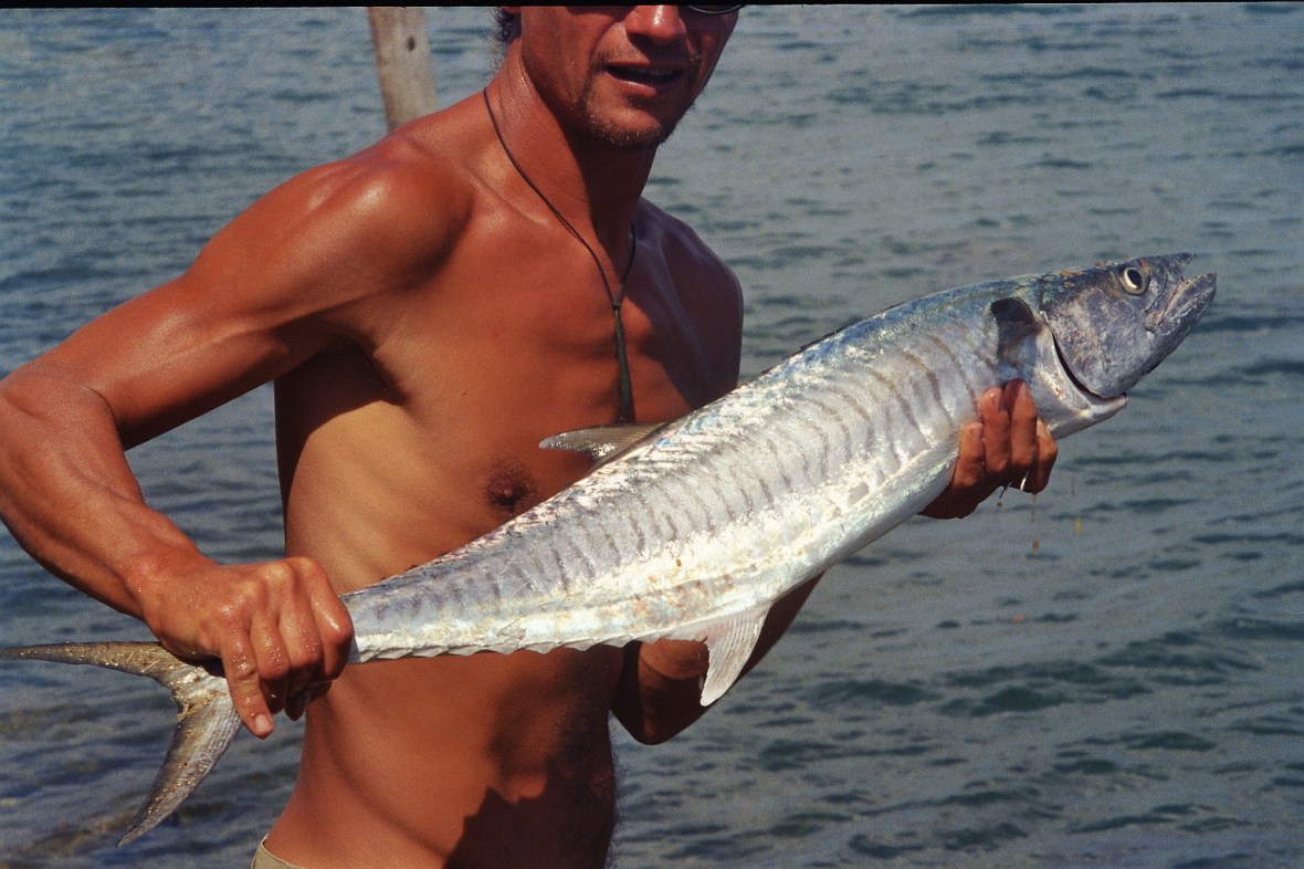 Spanish Mackerel landed in Cooktown, Queensland, Australia