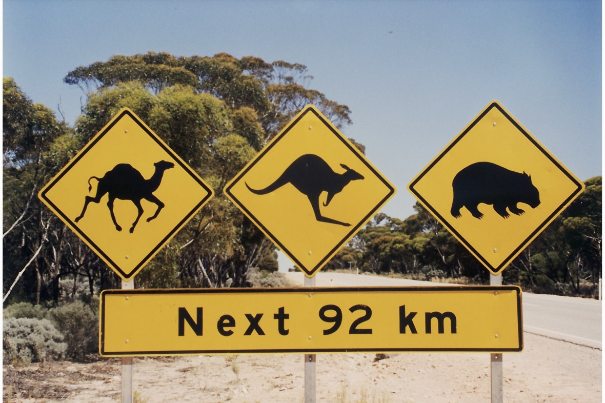 Australia’s Iconic roadsign along the Nullarbor, South Australia, Australia