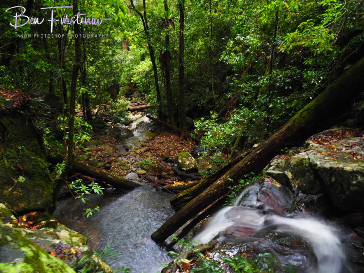 Summit Falls cascading down, Washpool National Park, NSW,  Australia 