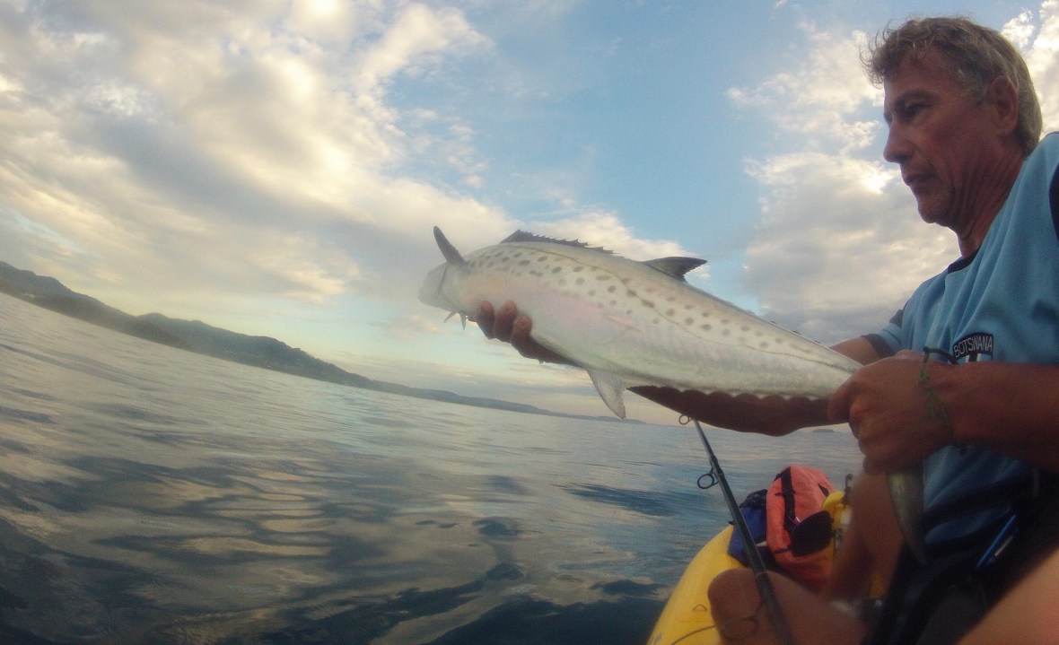 Catch and release, Diggers Beach, New South Wales, Australia 