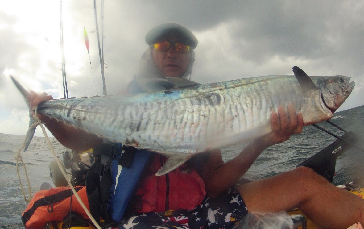 My biggest Spanish Mackerel so far of Scott’s Head, New South Wales, Australia
