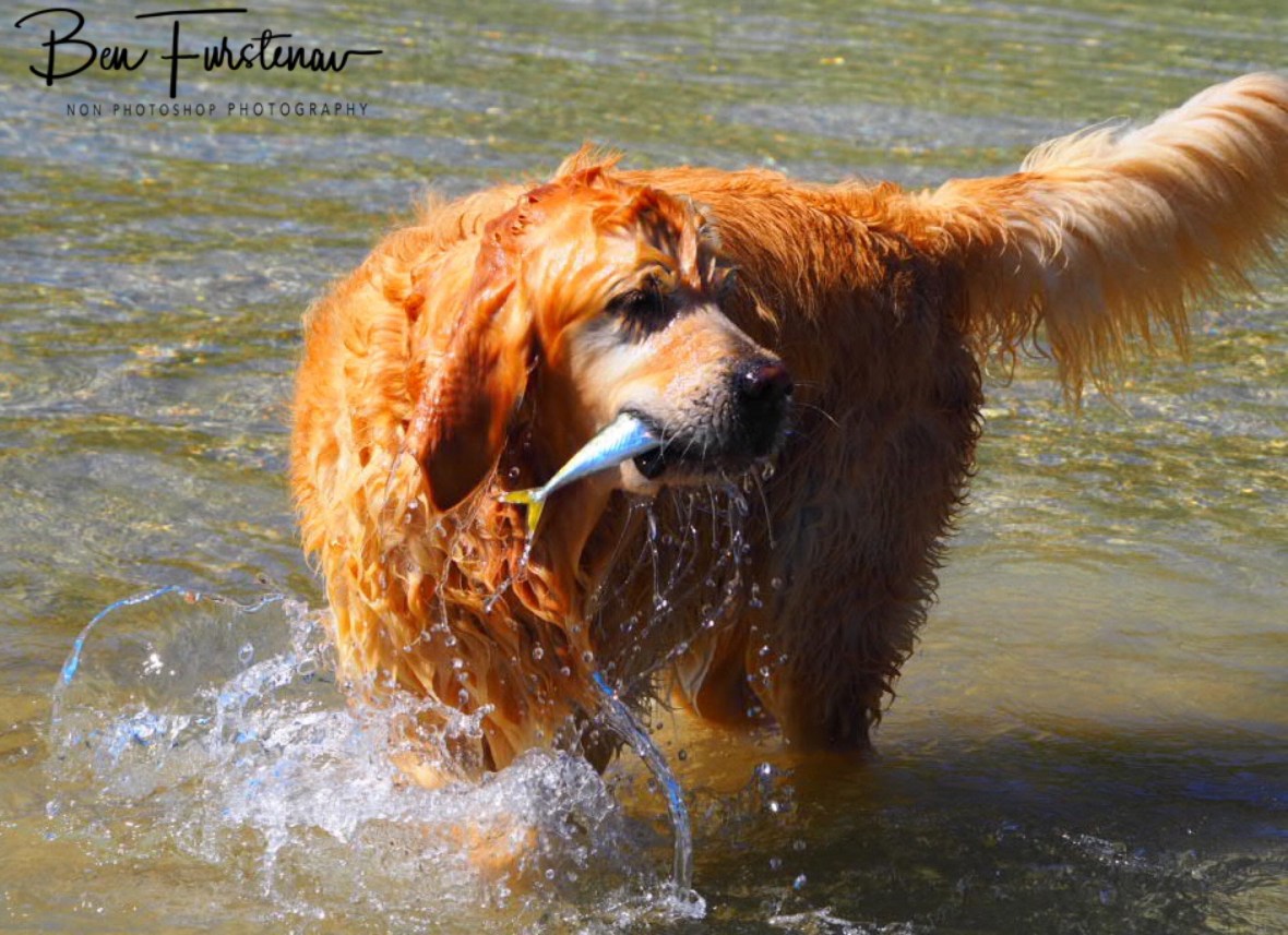 Gotcha, Diggers Beach, New South Wales, Australia