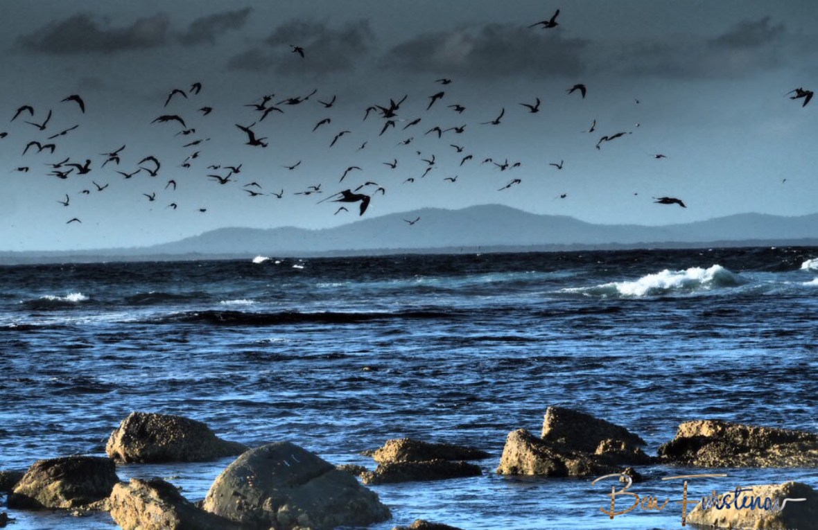 Scarring out to sea at Woody Head, New South Wales, Australia 