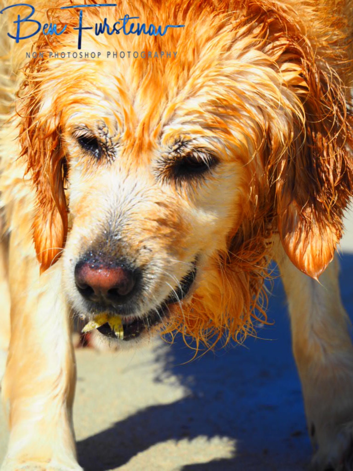 Tasty fresh fish at Diggers Beach, New South Wales, Australia