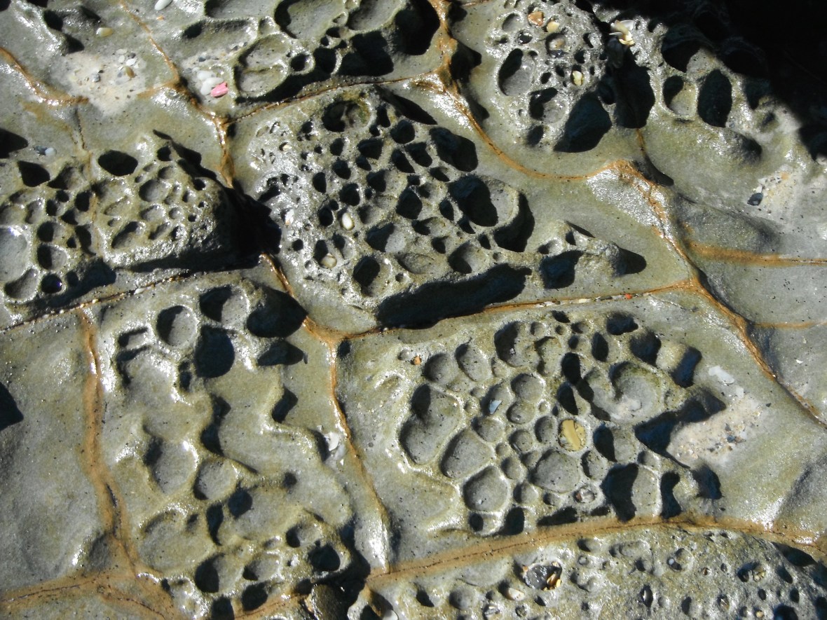 Bizarre rock formations at Woody Head, New South Wales, Australia