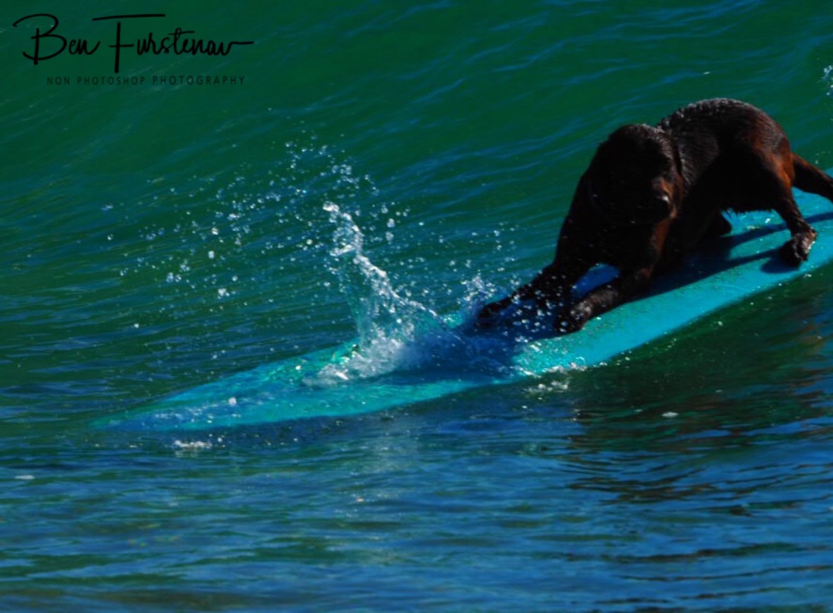 A great surf start at Diggers Beach, New South Wales, Australia