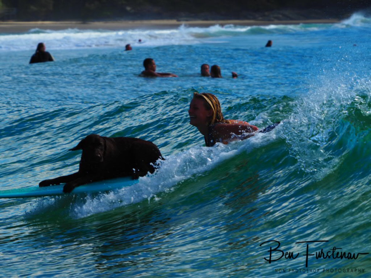 Ten out of ten at Diggers Beach, New South Wales, Australia 