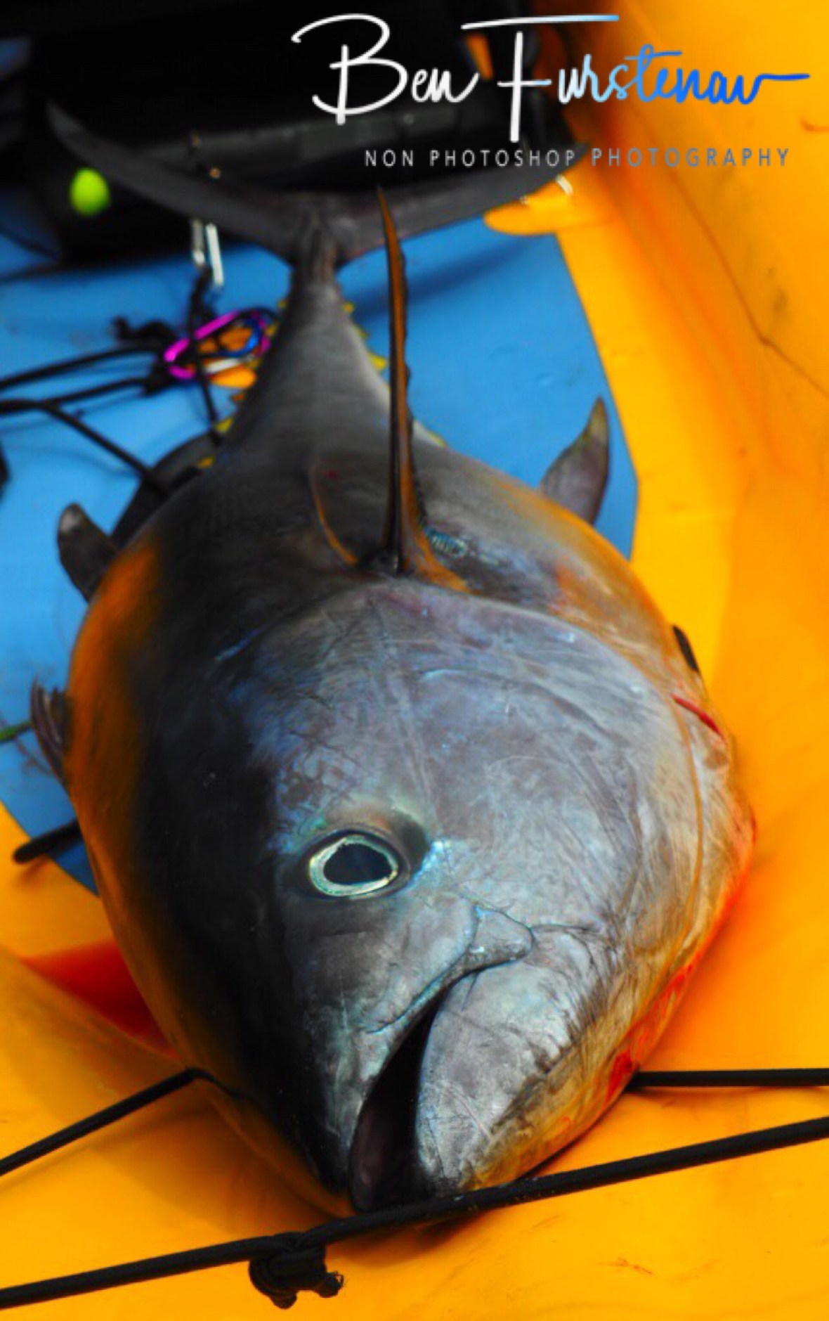 A heavy load in my kayak at Diggers Beach, New South Wales, Australia