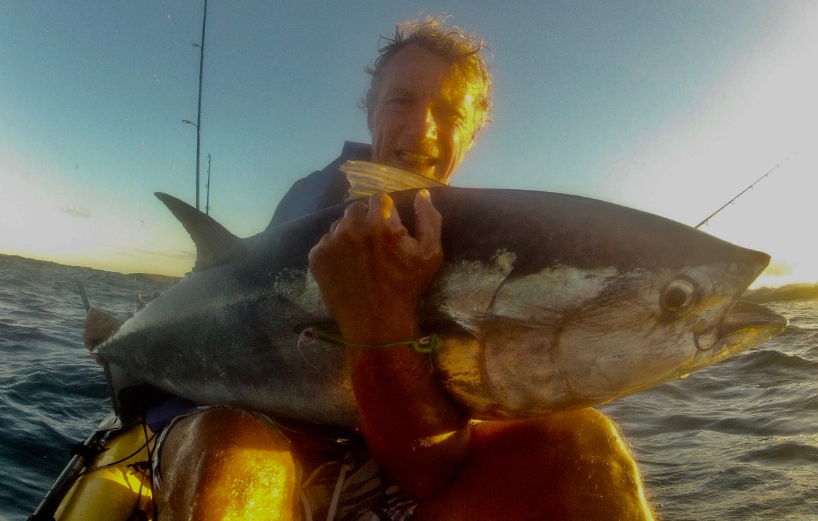 A heavy Longtail Tuna is finally in my kayak at Coffs Coastline, New South Wales, Australia
