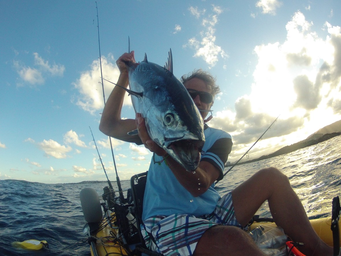 Mack Tuna are speedsters and excite any fisherman, Coffs Coastline, New South Wales, Australia