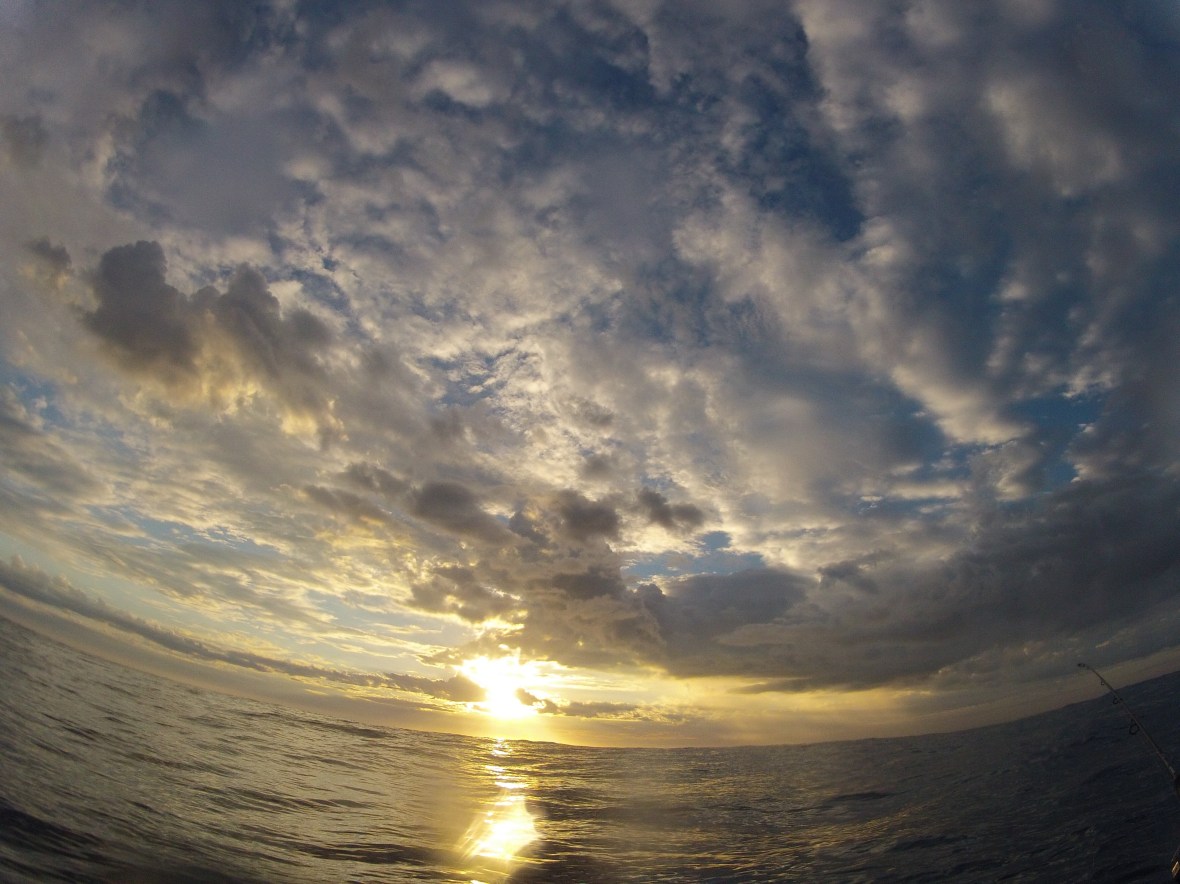 Another stunning sunrise over calm waters along the Coffs Coastline, New South Wales, Australia