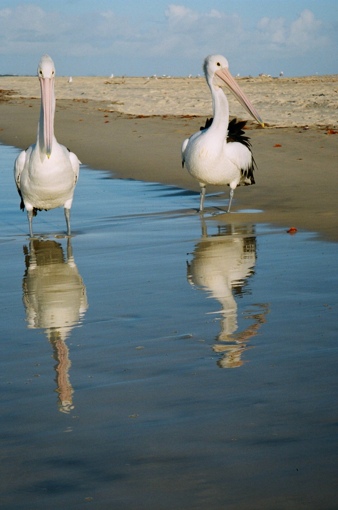 Lower sun reflections on Moreton Island, Queensland, Australia