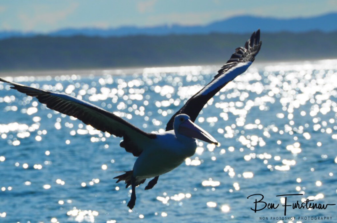 Flying over a sea off stars, the end! Woody Head, New South Wales, Australia 