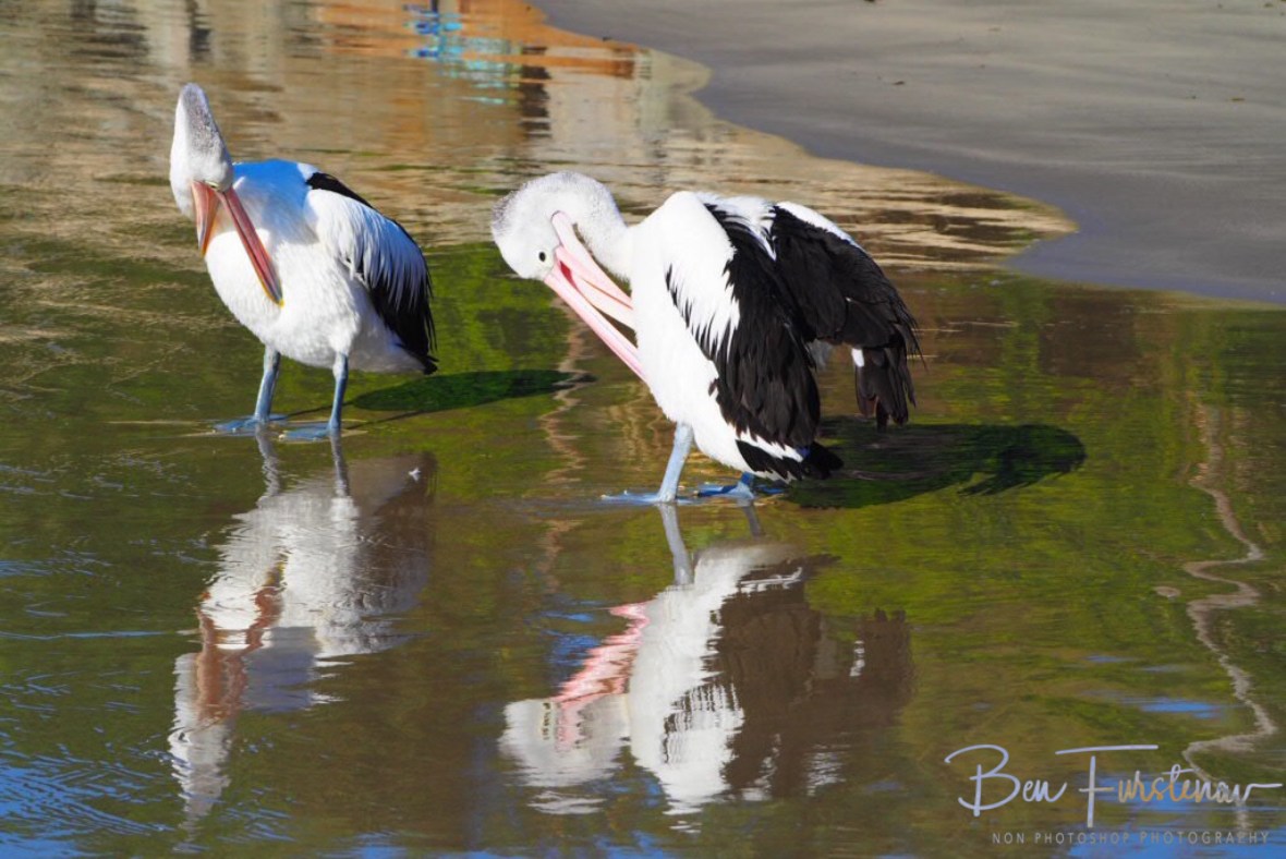 Mirror mirror on the sand...? Woody Head, New South Wales, Australia 