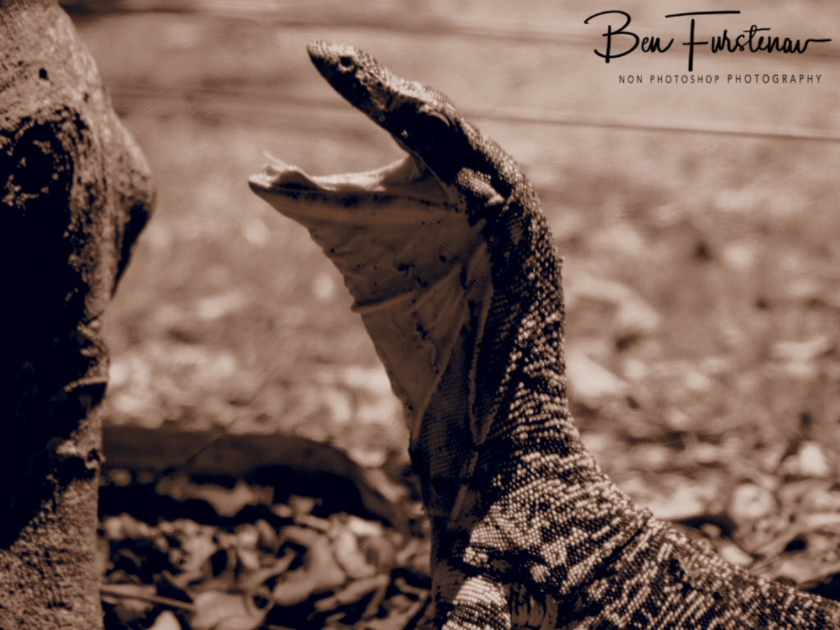 A warning sign not to come closer, Woody Head, New South Wales, Australia