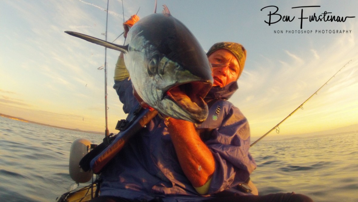 Another healthy Longtail Tuna was landed on my Maniyak at Woody Head, New South Wales, Australia 