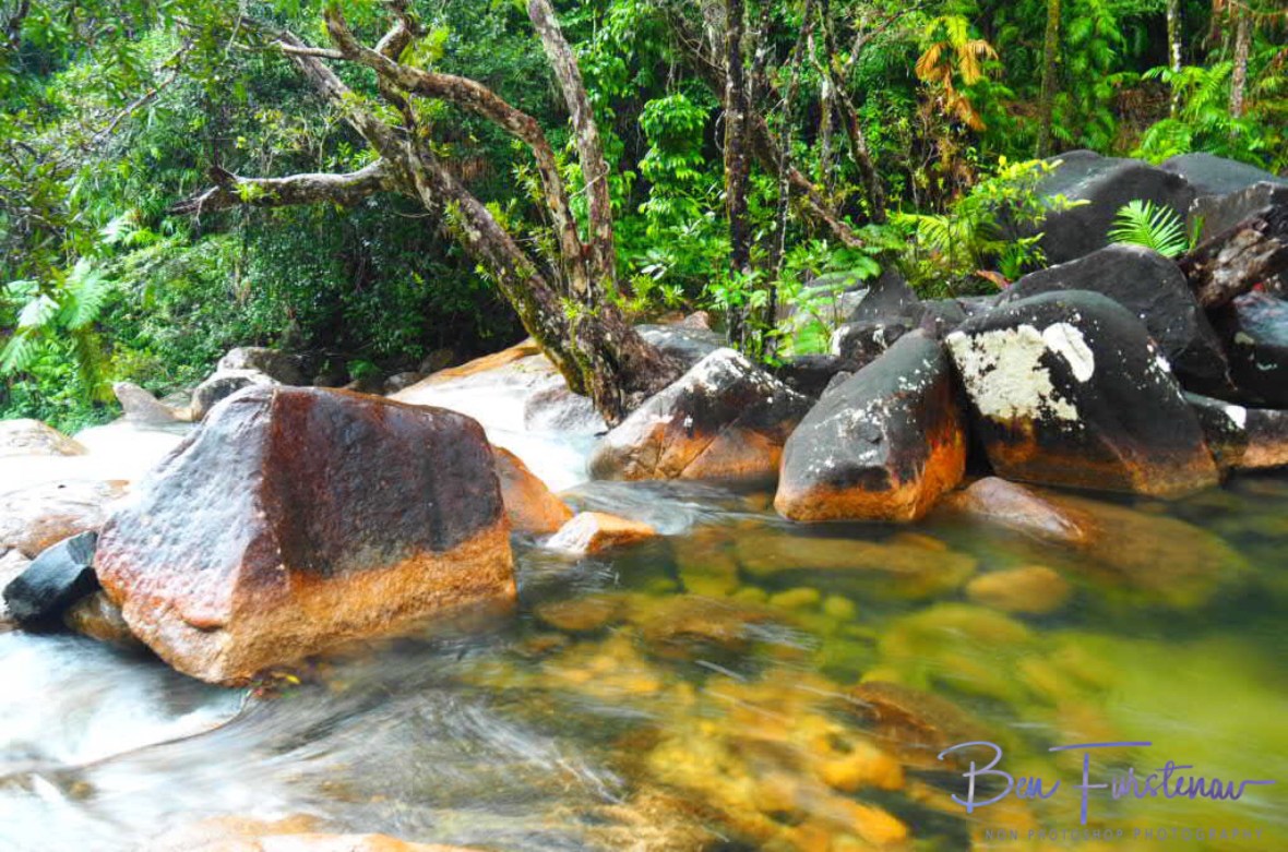 Creek blockade at Finch Hatton Gorge, Eungalla National Park, Queensland, Australia 