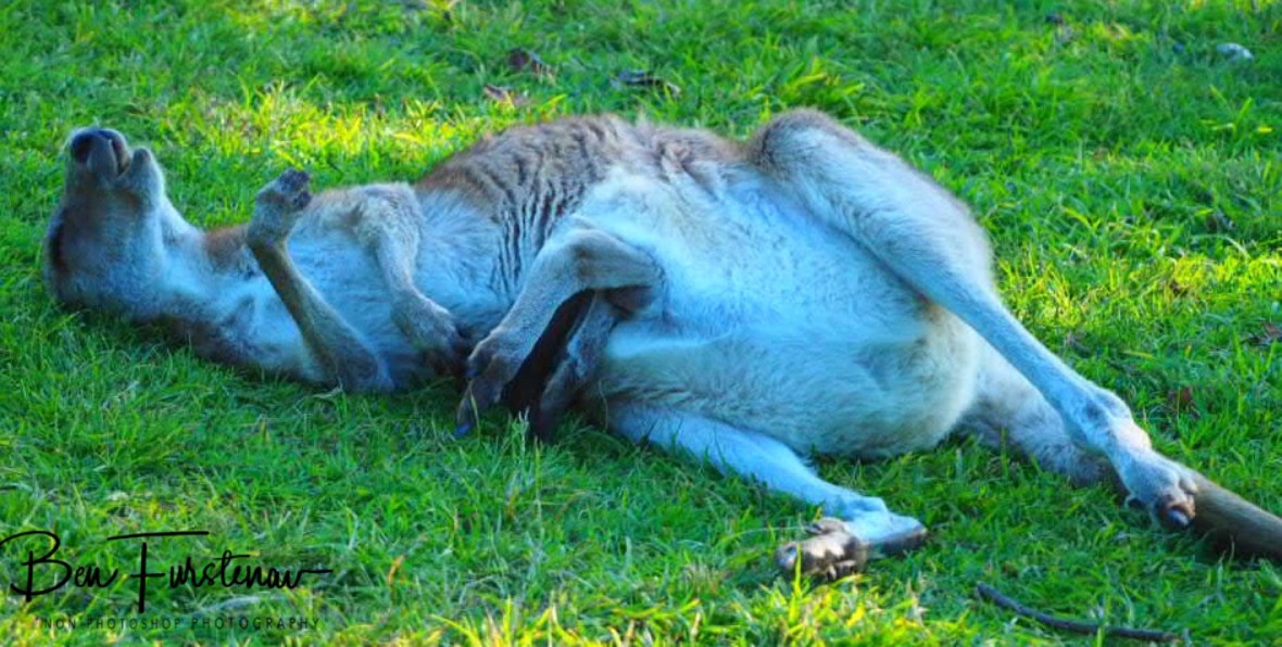 Oh Sunday! Woody Head, New South Wales, Australia 
