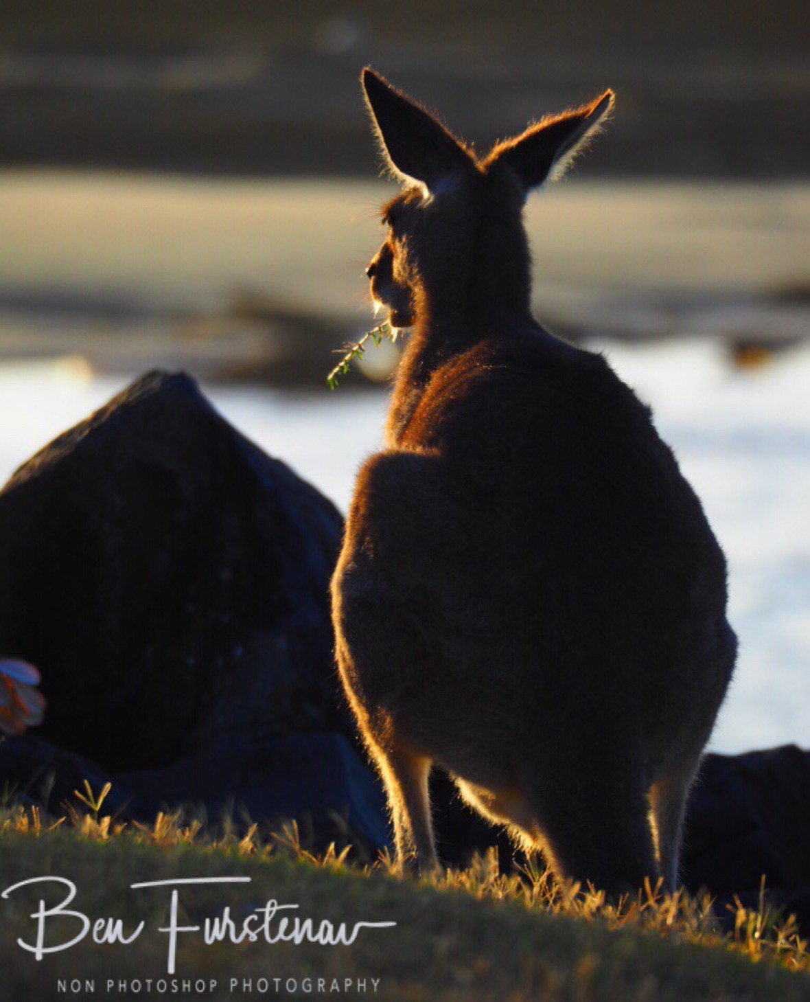Sunset dinner at Woody Head, New South Wales, Australia