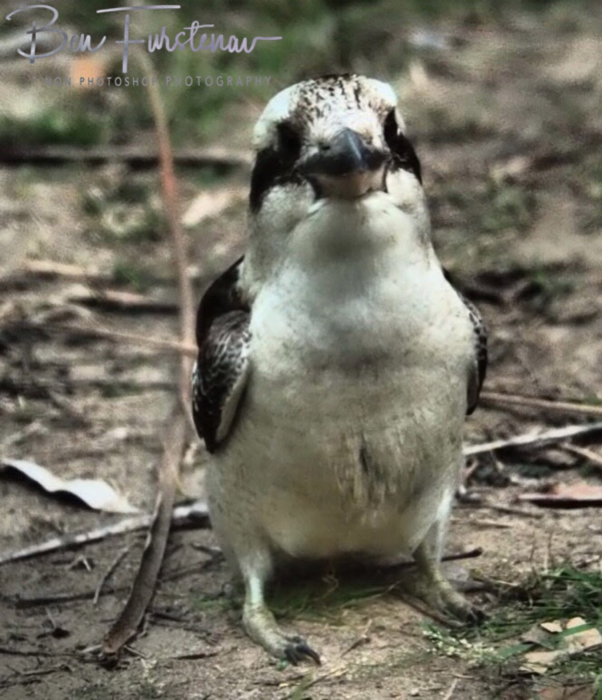 Is there any more? Yes there is! Queensland, Australia 