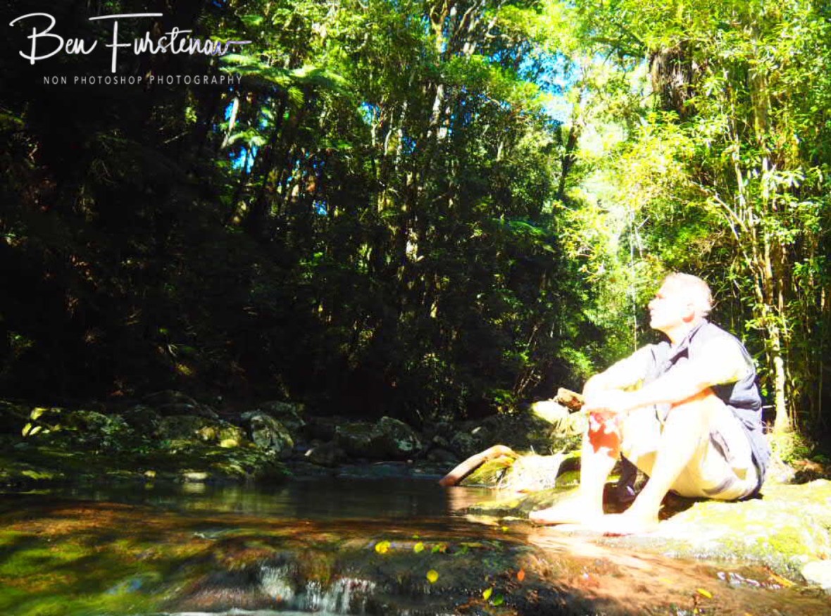 Sunny break at Lamington National Park, Queensland, Australia 