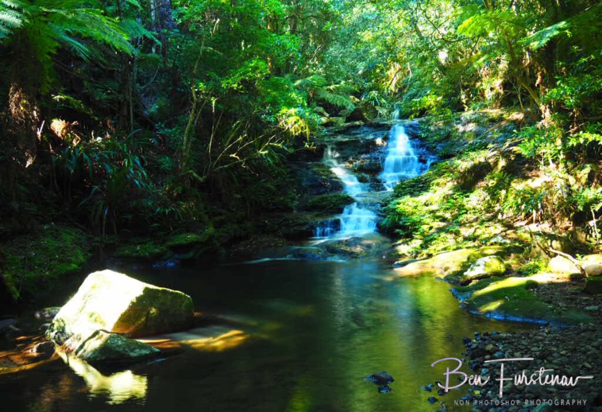 Sub-tropical paradise at Lamington National Park, Queensland, Australia 