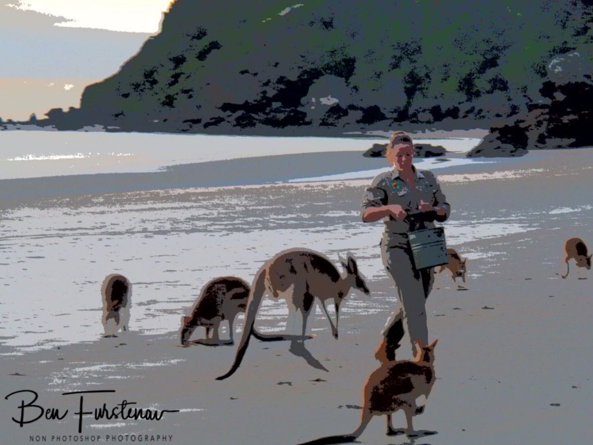 Kippt found the Ranger at Cape Hillsborough, Queensland, Australia